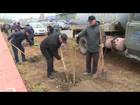 Президент: «Таза Қазақстан» жобасының жүзеге асуына ең алдымен әкімдер жауапты