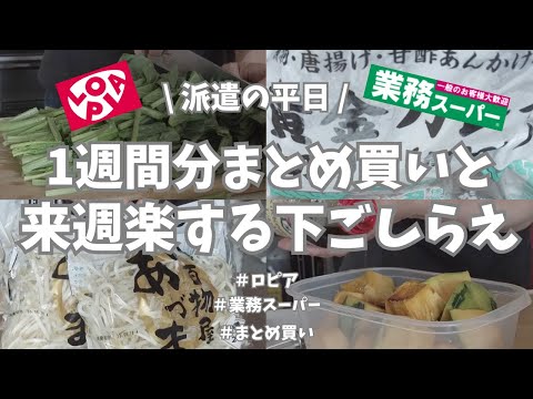 【派遣の平日】金曜日仕事終わり、恒例の1週間分まとめ買い！ロピア＆業務スーパーで買ったもの全部紹介＆保存まで🎶。