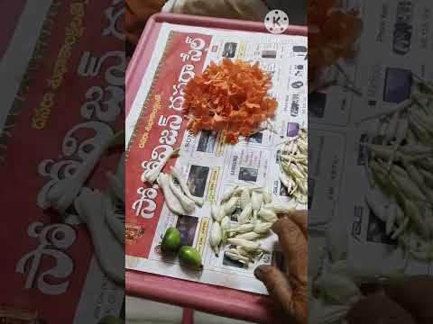 Ridge gourd harvest from my terrace garden