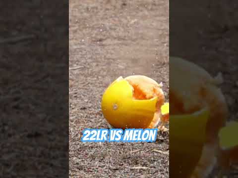 22LR vs Melon #ozziereviews #22longrifle #shooting #rifle #gun #firearms #22lr #slowmotion #slomo