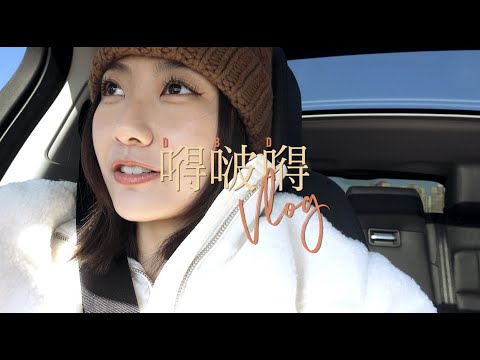 嘚吧嘚VLOG丨碎碎念日常丨逛二手书店丨双十一收货丨和邻居的搞笑故事丨Savislook