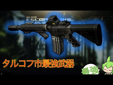 【タルコフ】タルコフ市最強武器を握る嘘つかないずんだもん実況/M4A1 ＆ 855A1