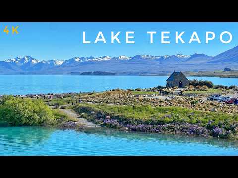 Lake Tekapo Town Centre Walking Tour 2024 4K | Lupins Bloom | Church of Good Shepherd | New Zealand