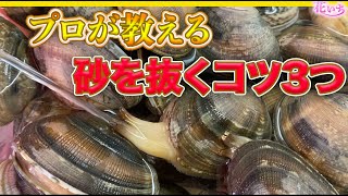 【アサリの砂抜き】プロの料理人が簡単にアサリの砂抜きのコツ教えます！