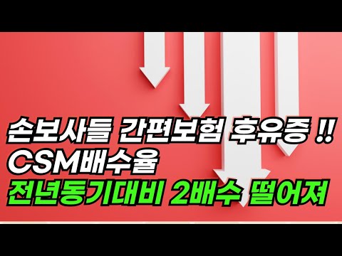 “간편보험 집중" 후유증 ... 신계약 두 자릿수’↑’에도 CSM 배수율 2배수 ’↓