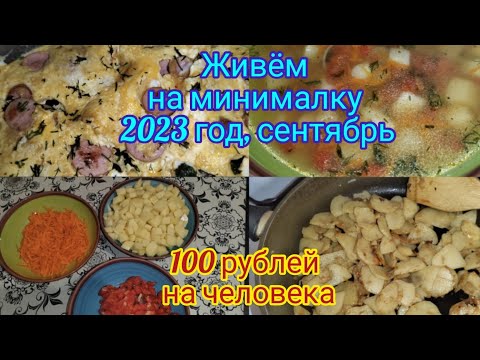 Живём на минималку . 100 рублей на человека.Сентябрь, 2023 год