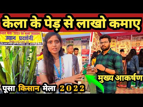 किसान मेला 2022 | pusa krishi vigyan mela | banana waste products | pusa mela 2022 | केले का तना