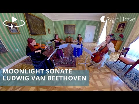 360° Concert - Beethoven's Moonlight Sonate by String Quartet