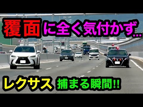 【覆面に気付かず...】速度違反のレクサスが覆面パトカーに捕まる瞬間‼️　[サイレン 警察 取り締まり 高速道路]