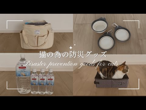 【猫の防災】命を守る！猫の為の防災グッズ｜いつか来る災害に備えて