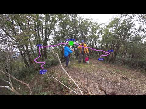 ■中川峠・佐々連尾山・大森山縦走