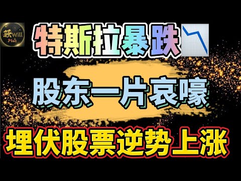 美股投资｜特斯拉TSLA暴跌,某红书股东哀嚎!埋伏超跌股逆势上涨.芯片提醒勿追高.SPY QQQ IWM NVDA AMD LULU INTC NKE SUBX ｜美股趋势分析｜美股股票｜美股2024