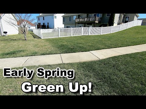 Spring Lawn Care Green Up | Early Spring Lawn Update!