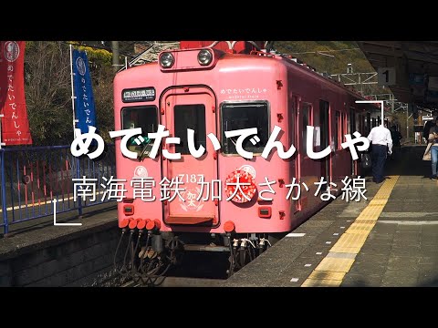 めでたい電車の記録2022年4月