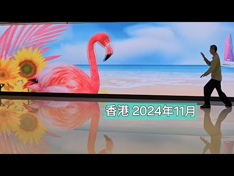 《太極練習》香港2024年11月15日