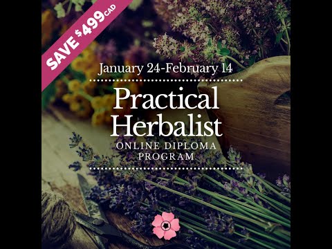 Practical Herbalist Diploma | Wild Rose College of Herbal Medicine