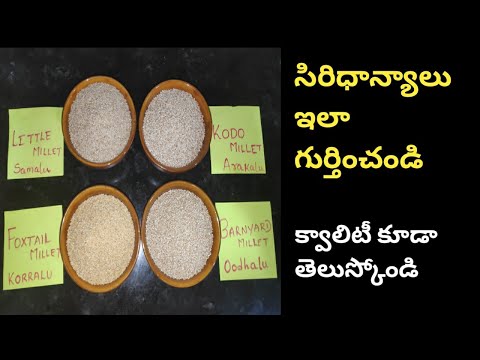 millets in telugu |how to identity millets| quality of millets| సిరిదాన్యాలు ఎలా గుర్తించాలి