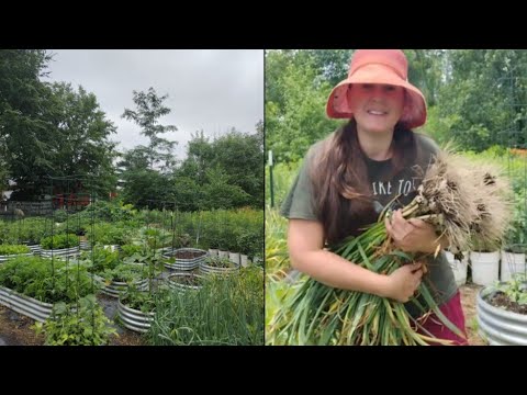 Tips for Growing More Food ~ Maximizing Garden Harvests