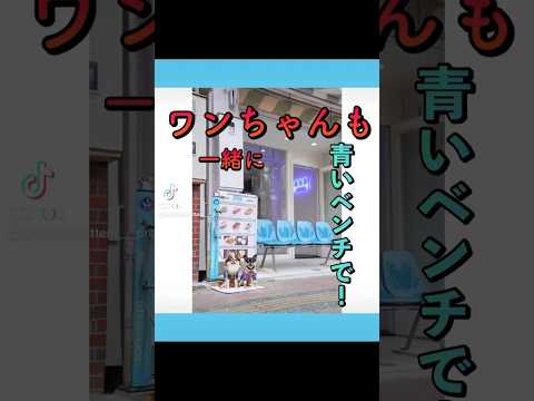 🐶 『cafe青いベンチ』に犬用のリードフックポールを設置しました🐶