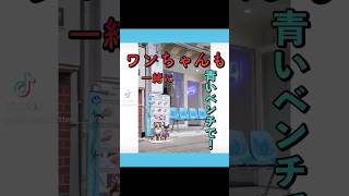 🐶 『cafe青いベンチ』に犬用のリードフックポールを設置しました🐶