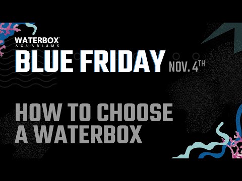 Choosing Your Next Waterbox Aquarium.