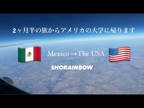 【Vlog】2ヶ月半の旅からアメリカに帰る日