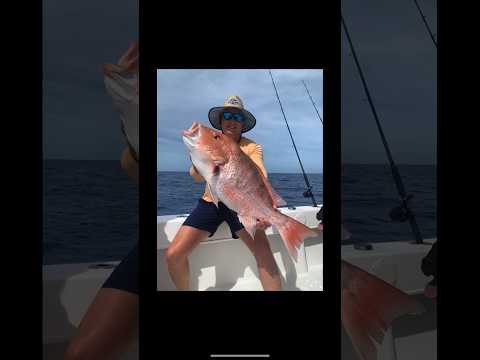 Huge red snapper caught on underwater camera?!?