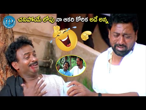 నా ఆకరి కోరిక అదే అన్న | Hungama Movie Venu Madhav Back 2 Back Comedy Scenes | @iDreamCelebrityMasti