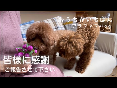 【登録者10000人記念動画】感謝の気持ちを伝えたくて急遽動画を作りました/いつもありがとうございます