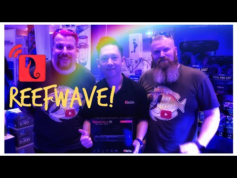 Red Sea reefWave - Sneak Peak!