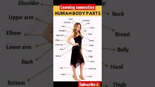 Human body parts #shorts #spokenenglish #englishgrammar #learnenglish #vocabulary #englishspeaking