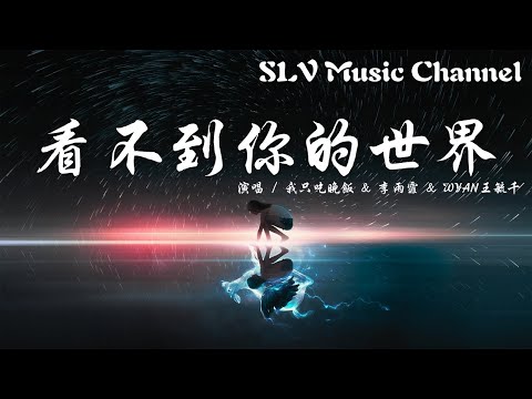 我只吃晚饭/李雨霏/WYAN王毓千 - 看不到你的世界【我在看不到你的世界里找寻你，你失去了联络像散落的烟火不留痕迹。】『動態歌詞Lyrics』♫