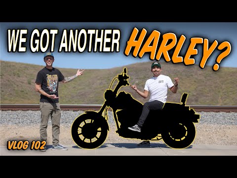 Did We Really Get Another Harley? - VLOG 102