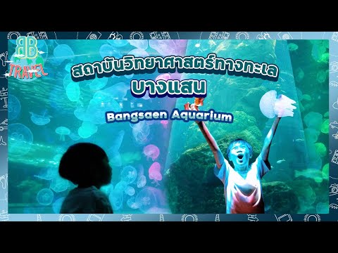 ผจญภัยโลกใต้น้ำ - สถาบันวิทยาศาสตร์ทางทะเล มหาวิทยาลัยบูรพา | BB Travel Ep.75