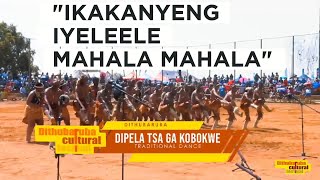 Dipela Tsa Ga Kobokwe Traditional dance-Ikakanyeng #culture#dithubaruba#bw#pushabw#discoverbotswana