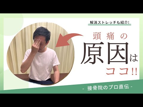 【肩のこり〜頭痛〜】何もしていないのに肩が重い、そのうちに頭痛が起きてくる筋肉の凝りからくる頭痛が起こる方へのストレッチ！｜接骨院のプロが教えるお家セルフケア