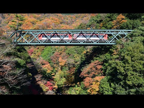 箱根登山電車 秋景 2017年11月29日