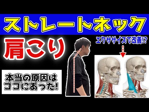 首の後ろの骨が触れてしまうと、、【ストレートネック】