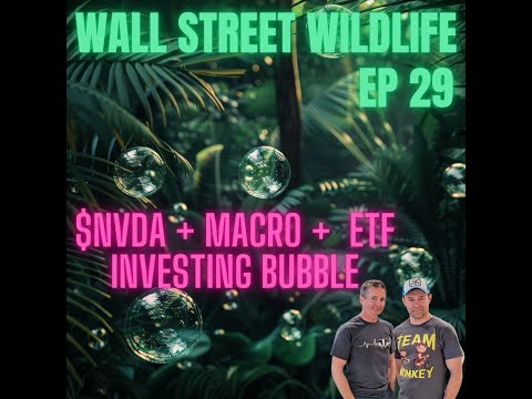 E29: NVIDIA's Market Move - from the Yoga Mat to Wall Street