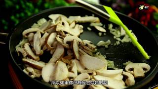 蔬食go健康-百菇菠菜千層麵