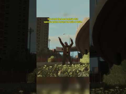 GTA IV Has a Grass Problem