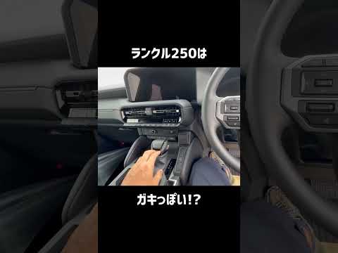 ランクル250の内装に物申す