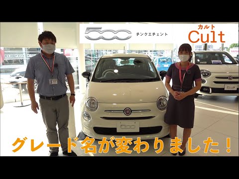 FIAT 500新グレード！！  カルト