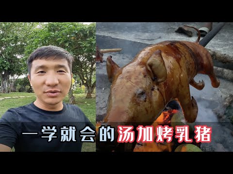 《汤加》第9天：花500元买到一只会赶海的猪，烤起来那是相当美味！#旅行 #旅行攻略 #环球旅行 #汤加 #烤乳猪