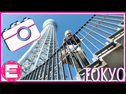 Tourist Spots in Tokyo!