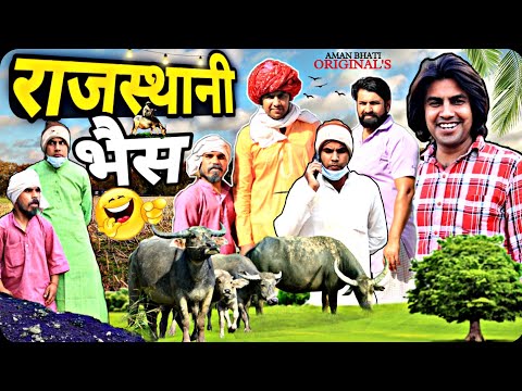 राजस्थानी भैंस | Rajasthani Bhans | Aman Bhati