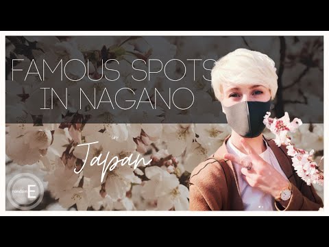 Famous Spots in Nagano | Relaxing Walk through Zenkoji Temple and Komoro Castle