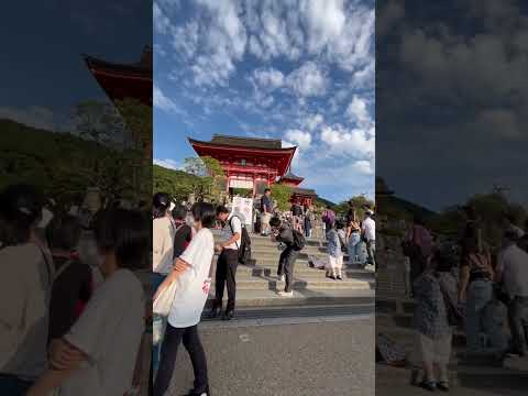 Walk to Kiyomizudera No6 (歩いて清水寺へ,その6）#kiyomizudera #kyoto #kyotowalk