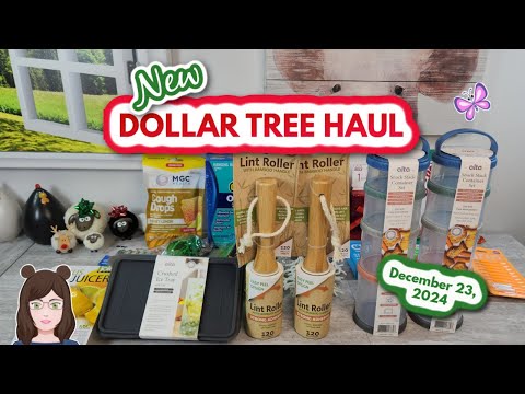 Exciting DOLLAR TREE HAUL!  NEW Finds!! December 22, 2024