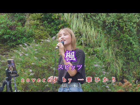 楓 / スピッツ  covered by 《一華ひかり》※概要欄にツアー情報あり